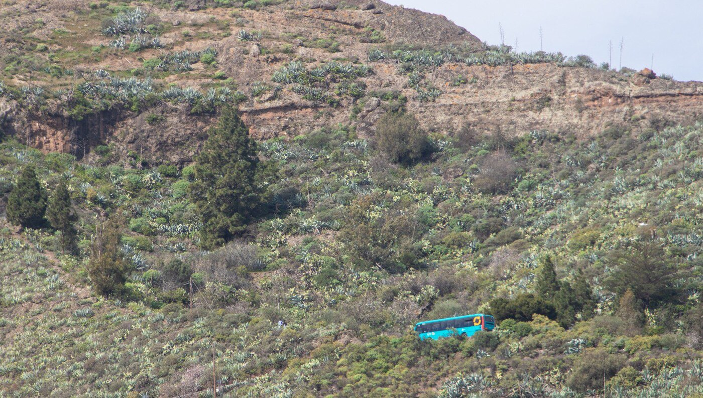 Openbaar Vervoer Gran Canaria